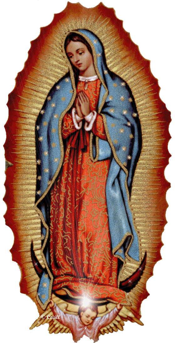 BLOG CATÓLICO GOTITAS ESPIRITUALES: VIRGEN DE GUADALUPE BLOG CATÓLICO GOTITAS ESPIRITUALES: VIRGEN DE GUADALUPE