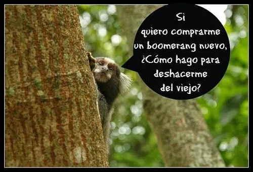 Blog Mis Chistes: 10 chistes filosóficos con mucha gracia Blog Mis Chistes: 10 chistes filosóficos con mucha gracia