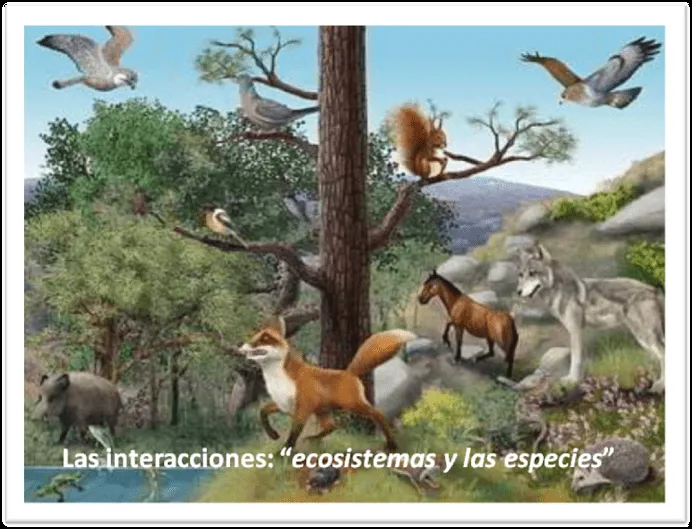 Blog de Ciencia: septiembre 2010