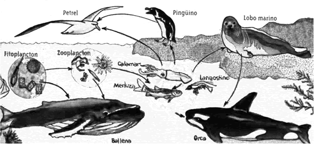 Blog CienciasBio :Dime y lo Olvido, Enséñame y lo Aprendo ...