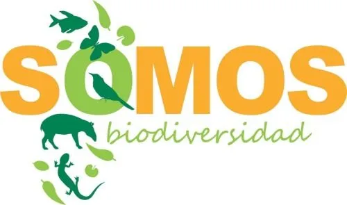El blog de Cristina: TEMA-2 EL MEDIO NATURAL EN ESPAÑA El blog de Cristina: TEMA-2 EL MEDIO NATURAL EN ESPAÑA