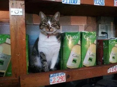 BLOG ESCOMBRISMO: PRESTA MUCHA ATENCIÓN: Las imágenes chuscas ...