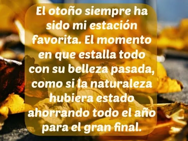 Blog de Mis Frases: Frases para recibir el otoño con alegría Blog de Mis Frases: Frases para recibir el otoño con alegría