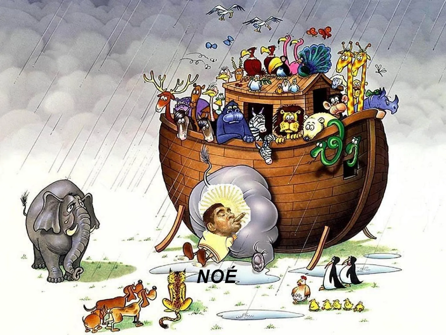 EL BLOG DEL HINCHA DE BOCA: EL ARCA DE NOÉ