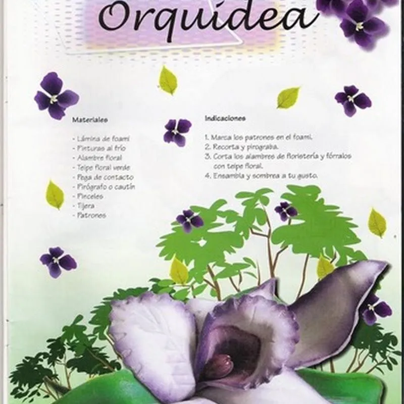 Blog de imágenes: Manualidades en foamy Orquídea Blog de imágenes: Manualidades en foamy Orquídea