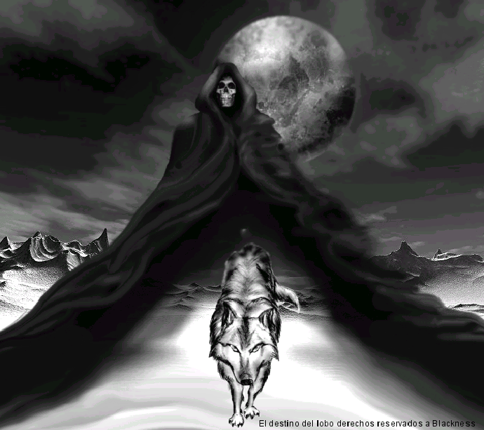 Lobos gif - Imagui