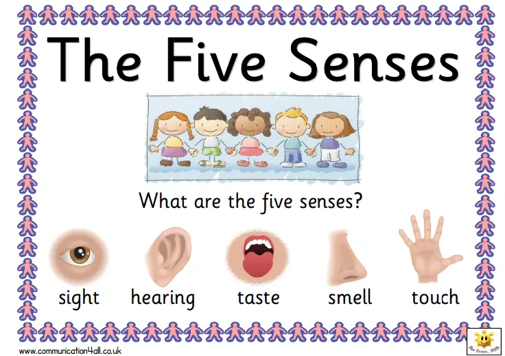 El blog de Laura Benítez: FIVE SENSES