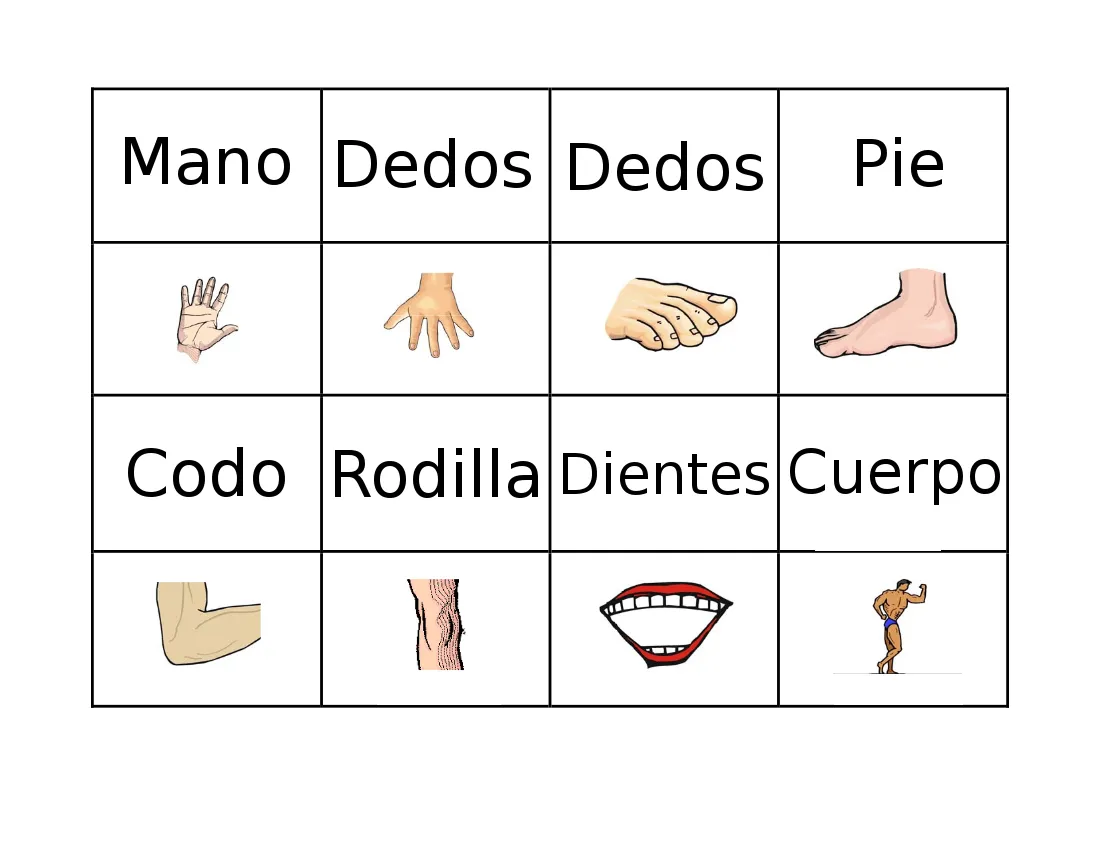Bella Vista: Las partes del cuerpo humano