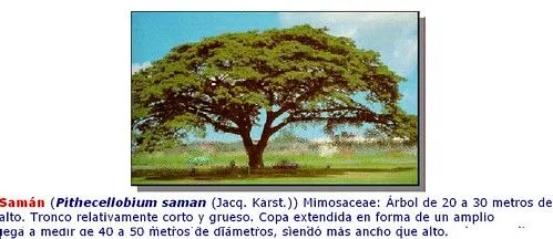 EL BLOG DE LIGIA MARVAL: Maracaibo La Cuidad del Sol Amada... EL BLOG DE LIGIA MARVAL: Maracaibo La Cuidad del Sol Amada...