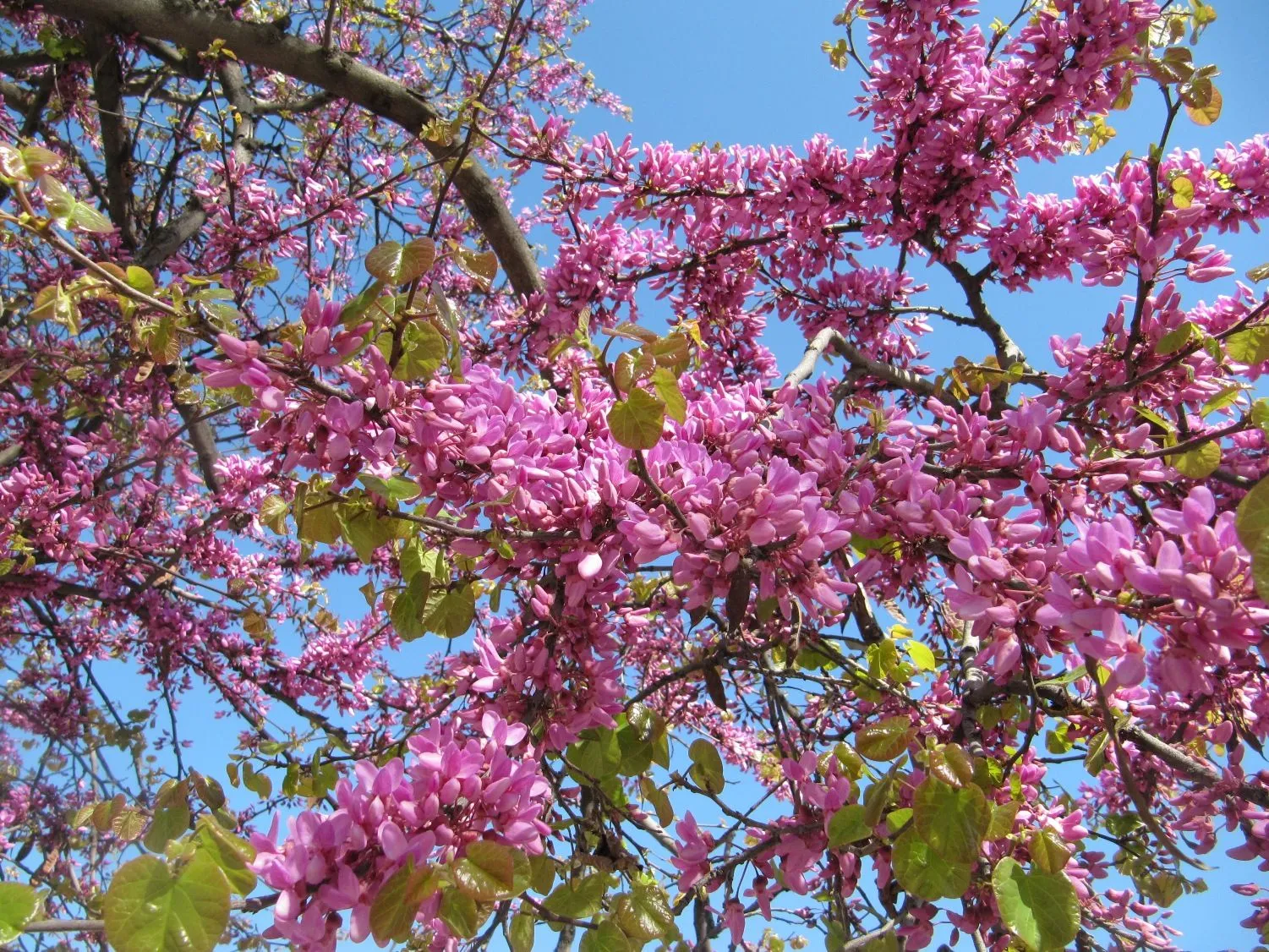 El Blog de MA: abril 2011