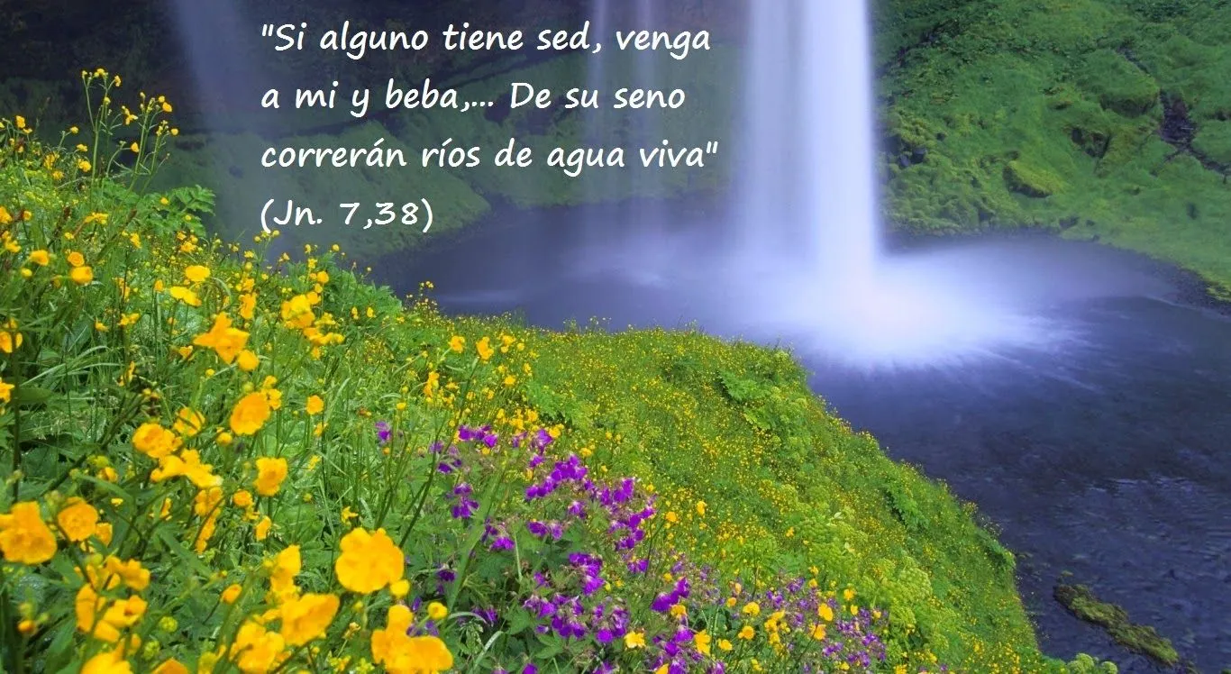 El Blog de Marcelo: 14 viñetas del Evangelio de Juan: Paisajes y ... El Blog de Marcelo: 14 viñetas del Evangelio de Juan: Paisajes y ...