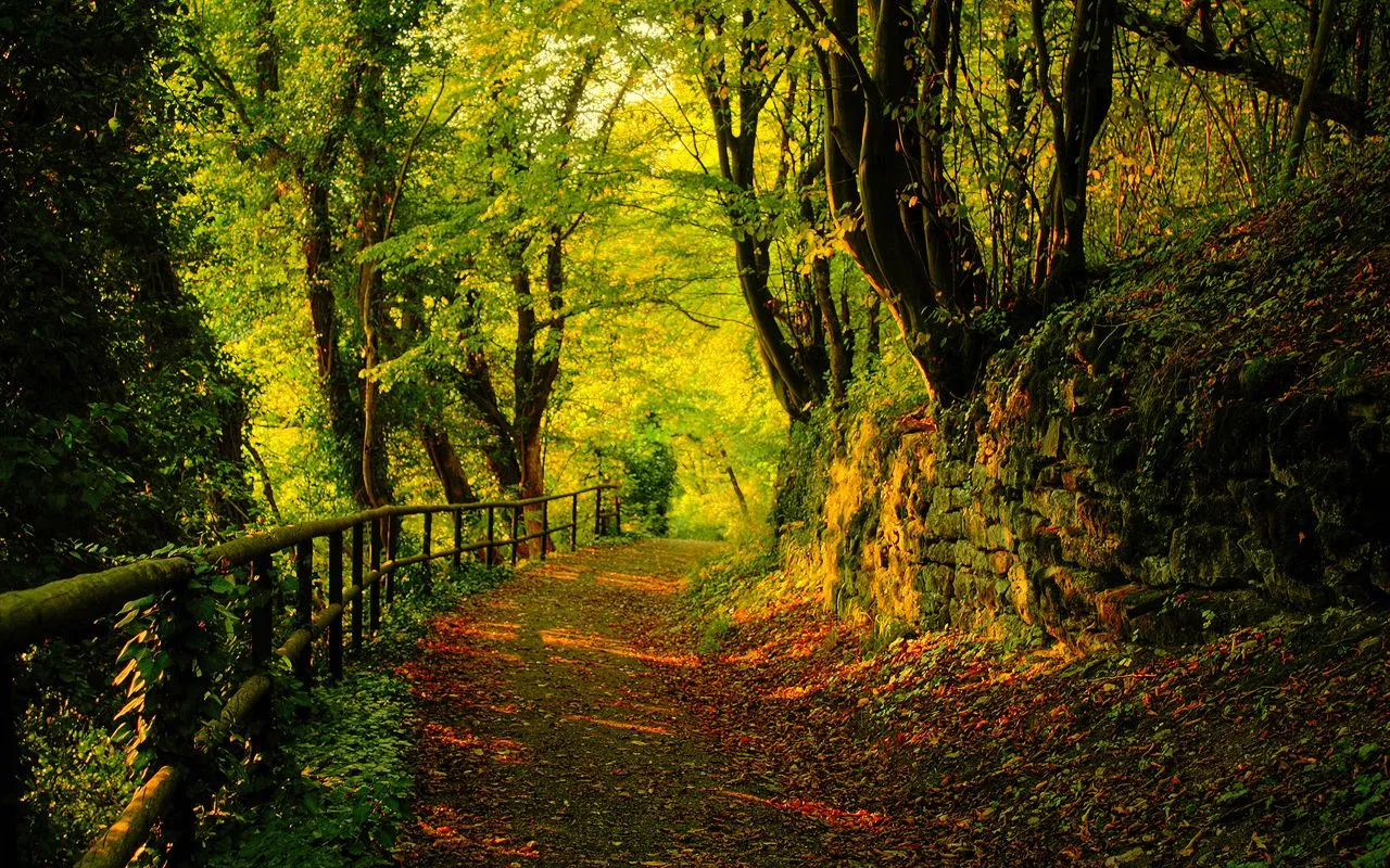 El Blog de Marcelo: 15 Nuevos paisajes del otoño: ¡Maravillas de ... El Blog de Marcelo: 15 Nuevos paisajes del otoño: ¡Maravillas de ...