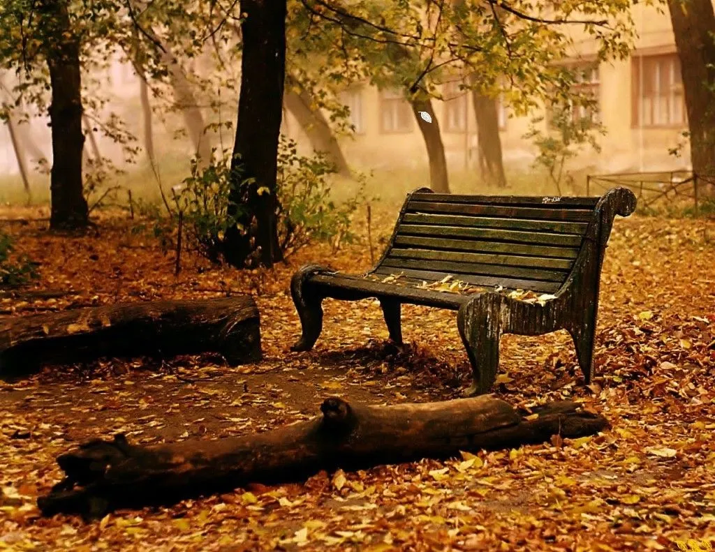 El Blog de Marcelo: 15 Nuevos paisajes del otoño: ¡Maravillas de ... El Blog de Marcelo: 15 Nuevos paisajes del otoño: ¡Maravillas de ...