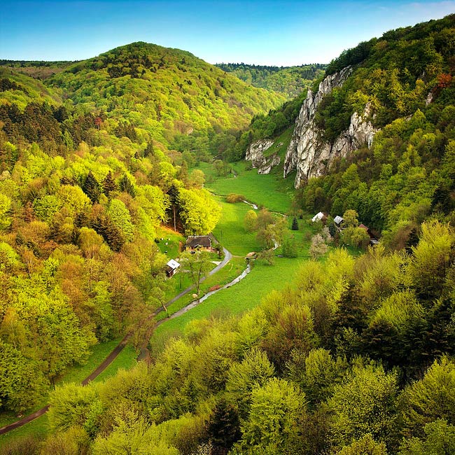 El Blog de Marcelo: Paisajes de Primavera