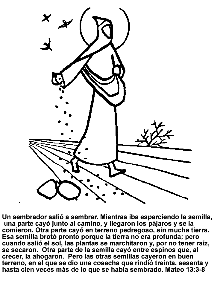 El Blog de Marcelo: LA PARÁBOLA DEL SEMBRADOR El Blog de Marcelo: LA PARÁBOLA DEL SEMBRADOR
