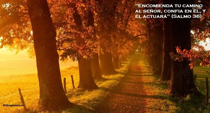 EL BLOG DE MARCELO: ¡Regalo!: 20 paisajes de otoño, 20 frases de ... EL BLOG DE MARCELO: ¡Regalo!: 20 paisajes de otoño, 20 frases de ...