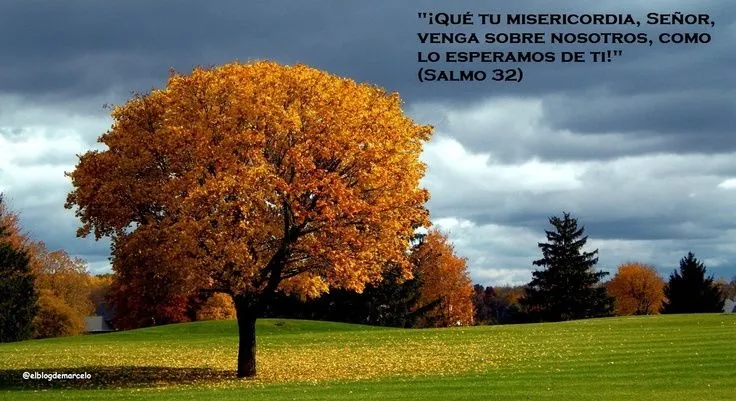 EL BLOG DE MARCELO: ¡Regalo!: 20 paisajes de otoño, 20 frases de ...