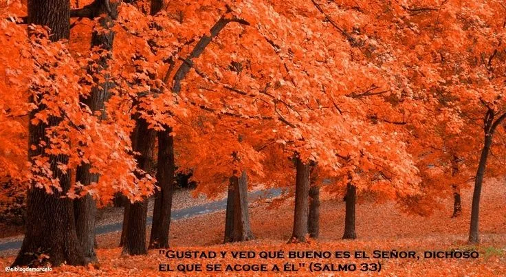 EL BLOG DE MARCELO: ¡Regalo!: 20 paisajes de otoño, 20 frases de ...