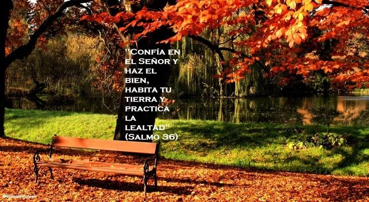 EL BLOG DE MARCELO: ¡Regalo!: 20 paisajes de otoño, 20 frases de ...