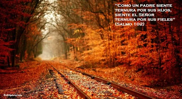 El Blog de Marcelo: ¡Regalo!: 20 paisajes de otoño, 20 frases de ...