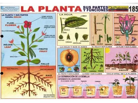 El blog de la Molmitos | Tal como soy, tal como pienso, tal como ... El blog de la Molmitos | Tal como soy, tal como pienso, tal como ...