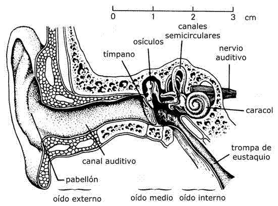 Blog de MUSICA | Página 2