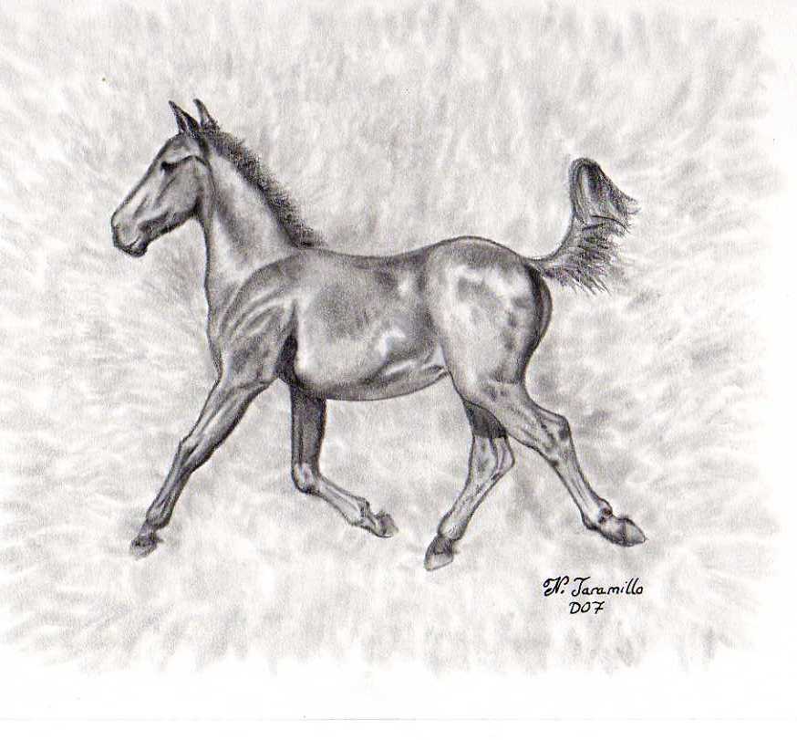 El Blog de Nacho Enseño mis dibujos y obras de arte El Blog de Nacho Enseño mis dibujos y obras de arte