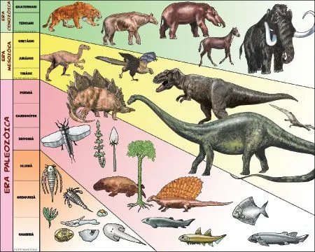 Blog de los niños: DINOSAURIOS: Tipos de dinosaurios