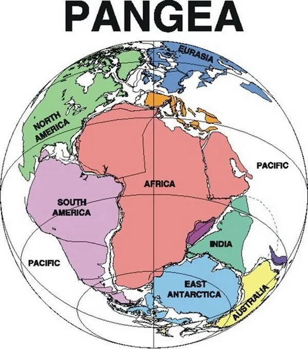 Blog de los niños: Pangea, el supercontinente Blog de los niños: Pangea, el supercontinente