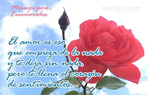 Blog de Norfi Carrodeguas