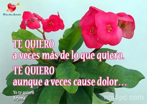 Blog de Norfi Carrodeguas: Felicidades a todos los enamorados en ...