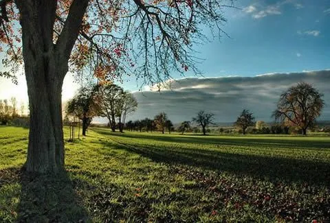 BLOG PERSONAL DE GRÓVER: ECOLOGÍA VERDE:PAISAJES NATURALES