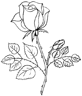 El blog de la primavera: La Rosa