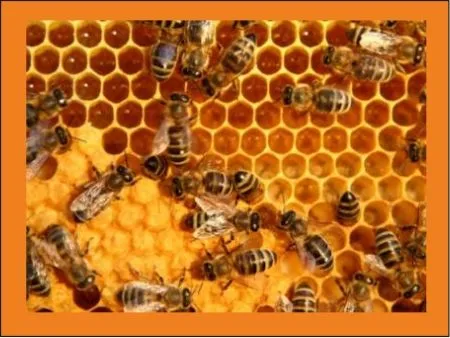 El Blog del Profano: marzo 2011