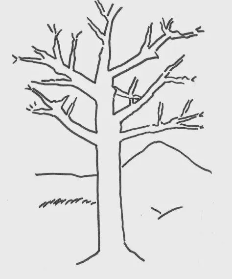 Blog profesora FELI: Actividad 2: AVISO CLASIFICADO y ÁRBOL DE ... Blog profesora FELI: Actividad 2: AVISO CLASIFICADO y ÁRBOL DE ...