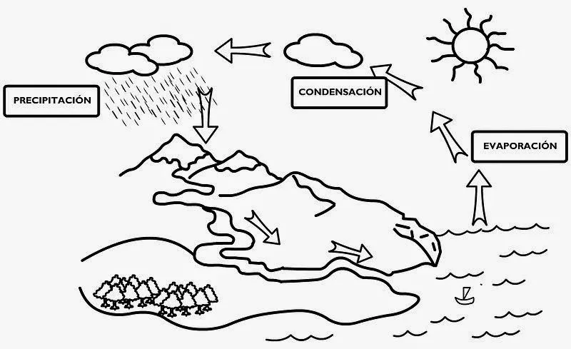 Imagenes del ciclo del agua para niños de primaria para colorear ...