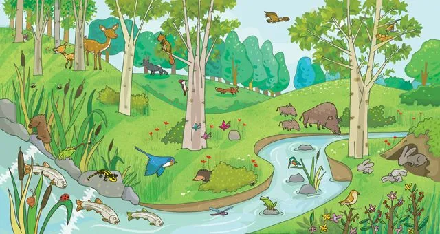 BLOG DE LAS RANAS 4 AÑOS A: Cuentos y valores BLOG DE LAS RANAS 4 AÑOS A: Cuentos y valores
