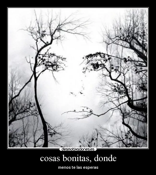 mi blog secret: Imagenes monas.