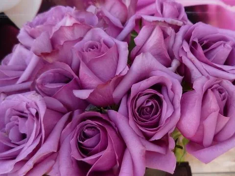 El Blog de Sieteflores, Quiosco de flores de la Plaza de los ... El Blog de Sieteflores, Quiosco de flores de la Plaza de los ...