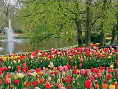 Blog de Viajes Altamira. : Keukenhof, El “jardín más bello del ...