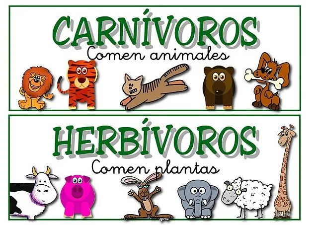 Blogs de Ana Bastida 1º y 2º: Clasificaciones de animales Blogs de Ana Bastida 1º y 2º: Clasificaciones de animales