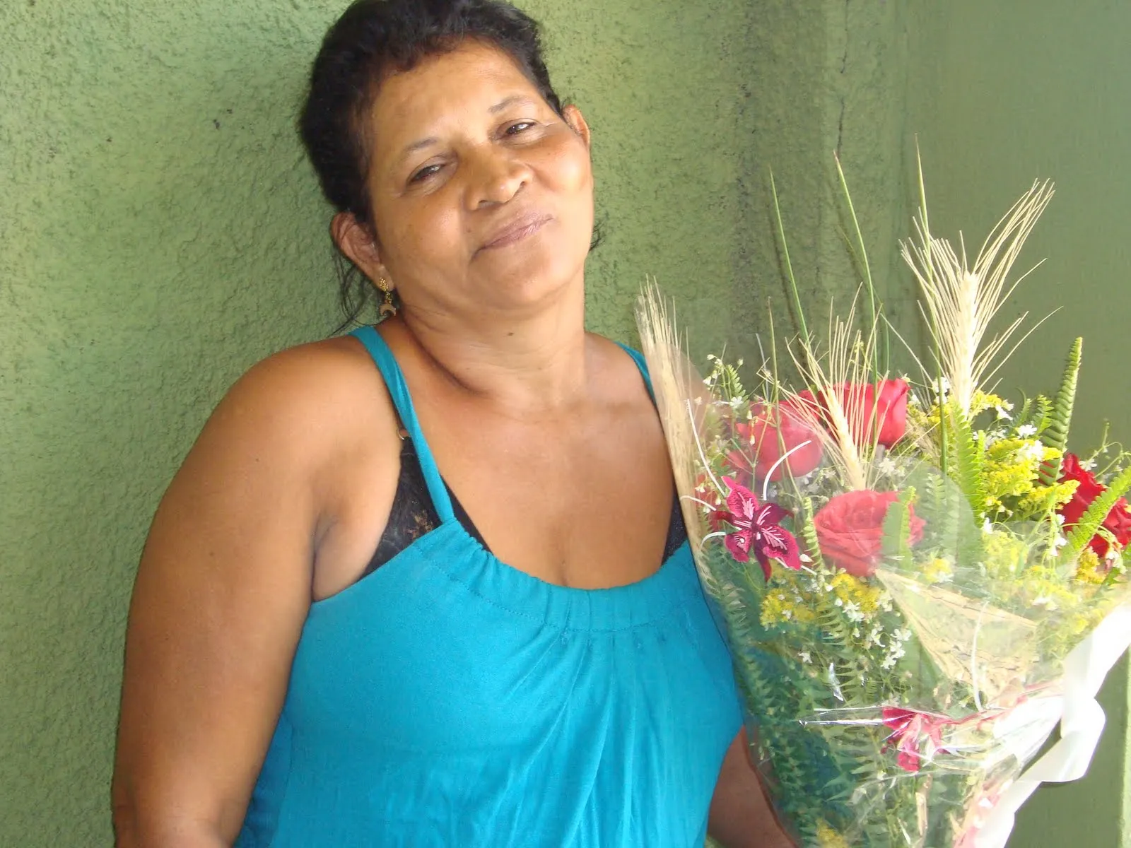 BLOGS E CERVAS