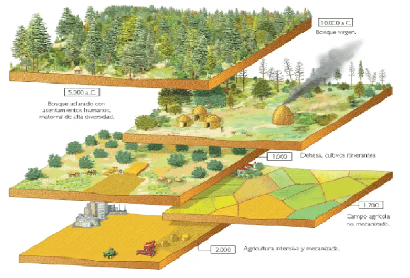Bloque 1: El Espacio Geográfico y los Mapas. | De Geografía y ... Bloque 1: El Espacio Geográfico y los Mapas. | De Geografía y ...