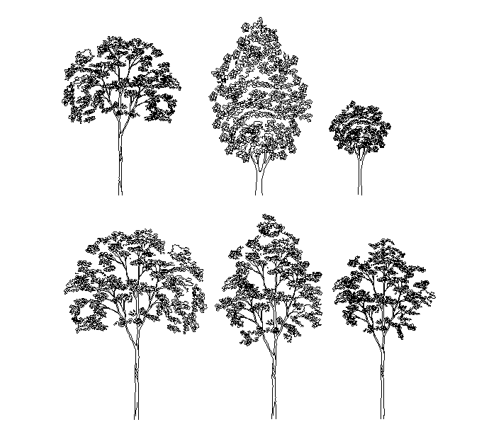 BPRO_Tree1-Model1.png