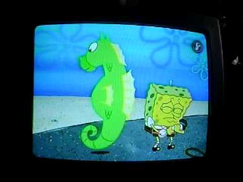 bob esponja - misterio - YouTube