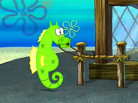 bob esponja tercera temporada Mi Hermoso Caballo de Mar - YouTube bob esponja tercera temporada Mi Hermoso Caballo de Mar - YouTube