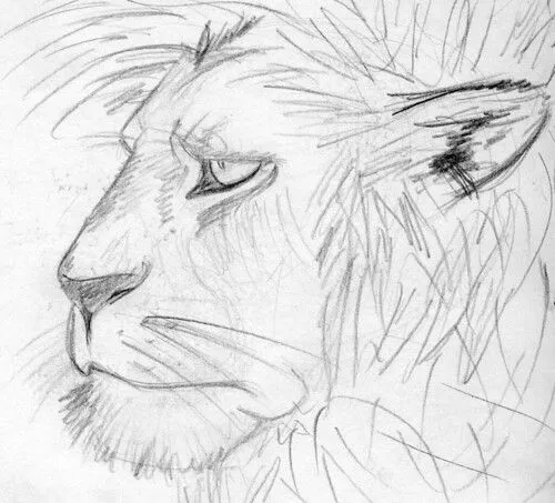 León « Animando Monigotes