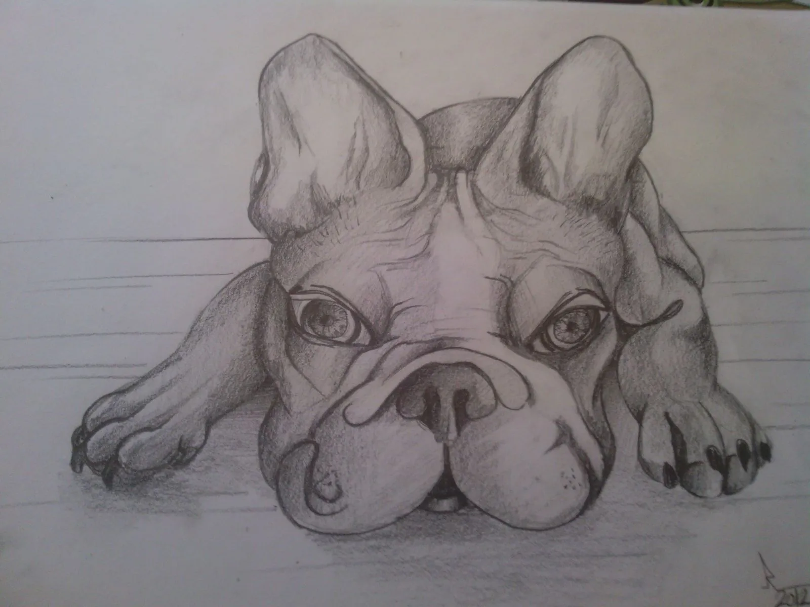 bocetos animales - nosincolor.