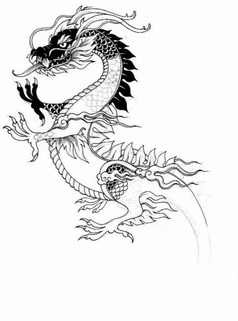 Bocetos de dragones chinos - Imagui