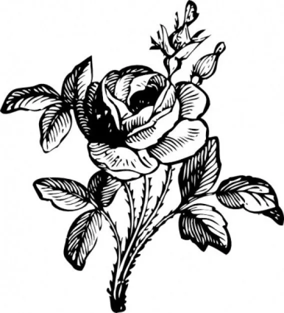 Bocetos de lápiz de tinta | blogartistico